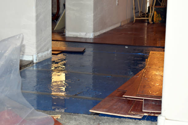 Professional Water Damage Repair technician working in Hope Valley, RI